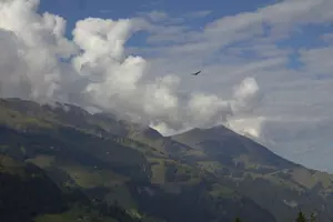 A bird flying over a misty mountain range.