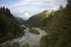 A river going between the forest surrounded by mountains.