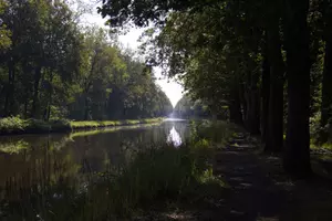 Water surrounded by trees.