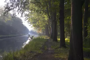 Water surrounded by trees.